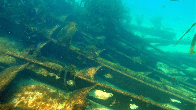 Los restos del esqueleto del Cason bajo el mar. BUCEO FINISTERRE