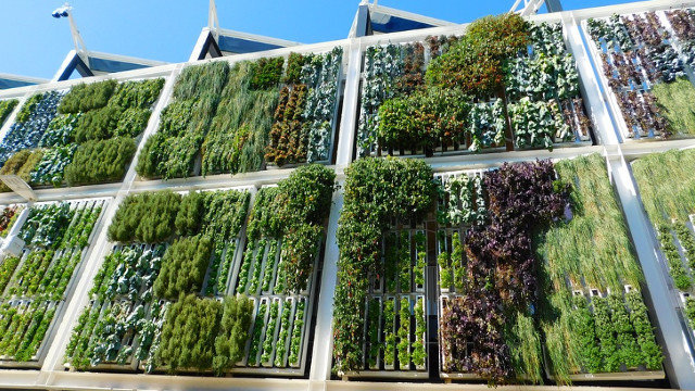 Hacer que un jardín vertical artificial luzca atractivo tiene sus secretos