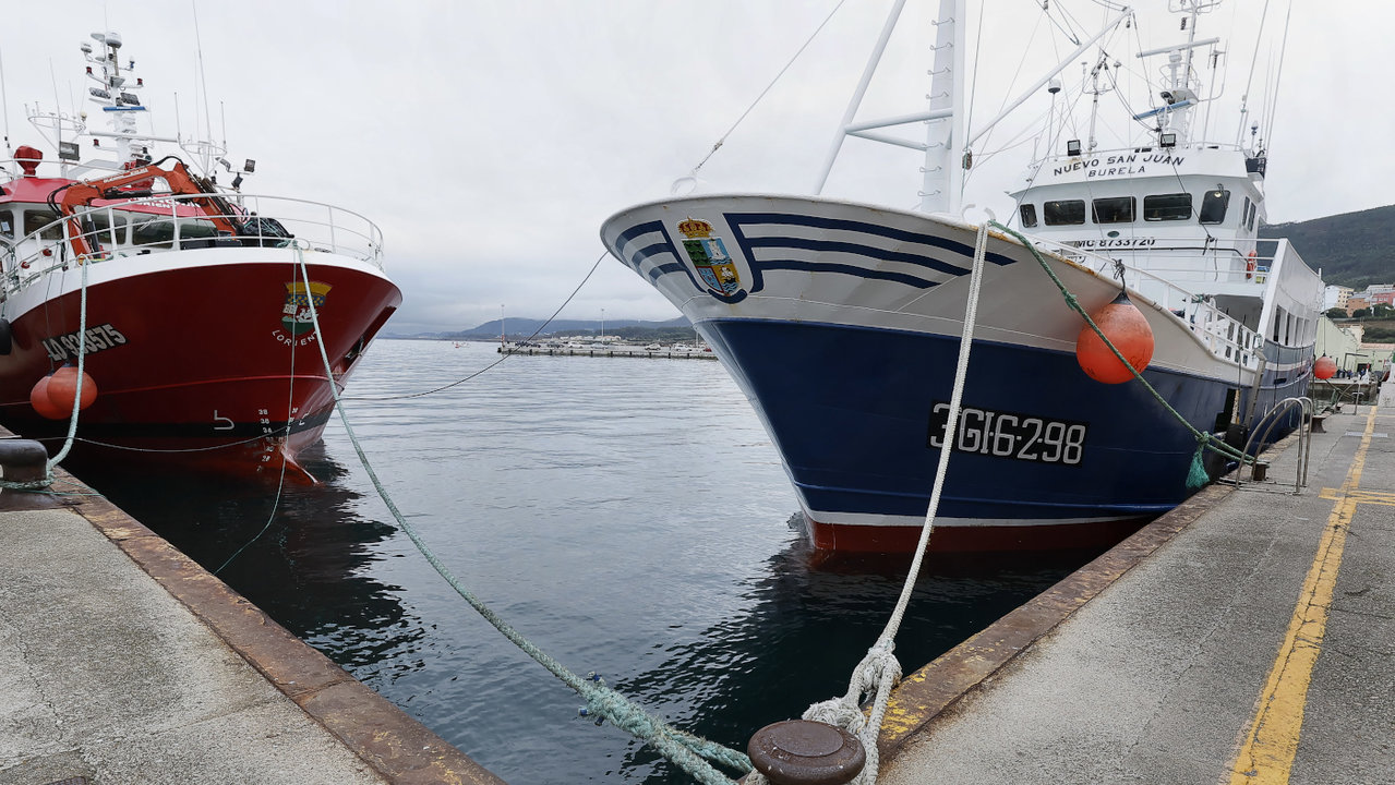 Dos pincheiros amarrados en el puerto de Burela. EP