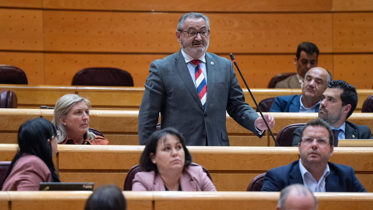 El senador del PP por Lugo José Manuel Balseiro. EP
