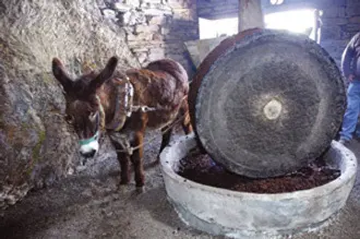 Molino de aceite en Quiroga
