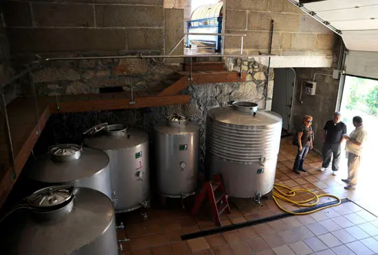 La visita sigue en la bodega "Rozas"