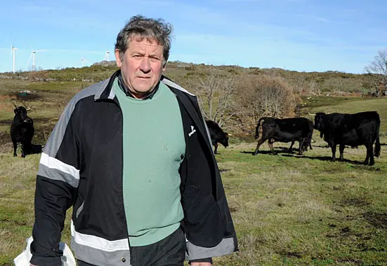 El criador de la carne ganadora, Mart&iacute;n Gonz&aacute;lez con sus vacas ''caldel&aacute;s'' en Montederramo