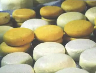 Variedades de queso de Arzúa