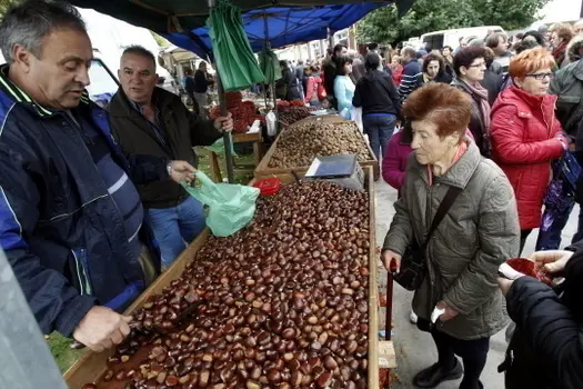 Quesos y casta&ntilde;as en la feria de Monterroso. Fotos: XES&Uacute;S PONTE + SEBAS SENANDE