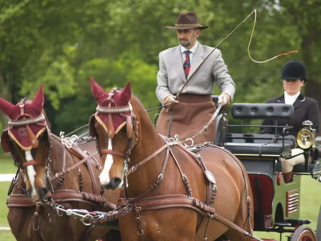 Colman, en una calesa, uno de los lujos que se permitía