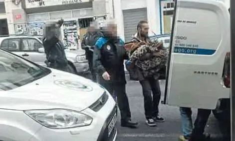 La perra de seis meses Catalina, que se precipitó al vacío desde un piso de Camiño Real. L.L.P.