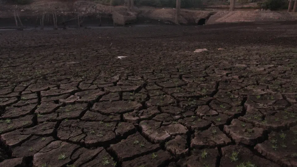 Embalse de Fornelos de Montes