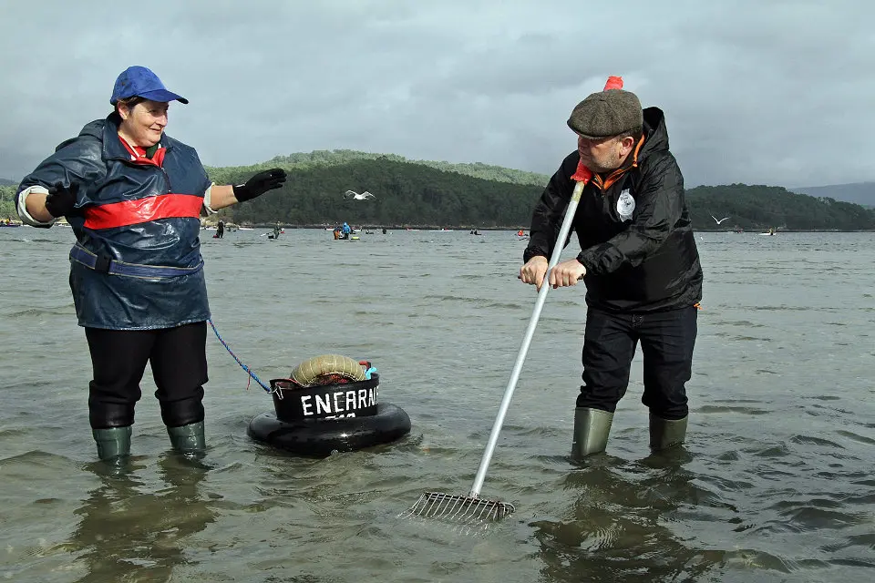 Alberto Chicote, de marisqueo en Noia. LUIS POLO (2)