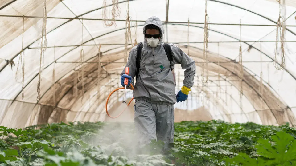 Imagen para ilustrar el EsDomingo sobre el Glifosato (03/12/17)