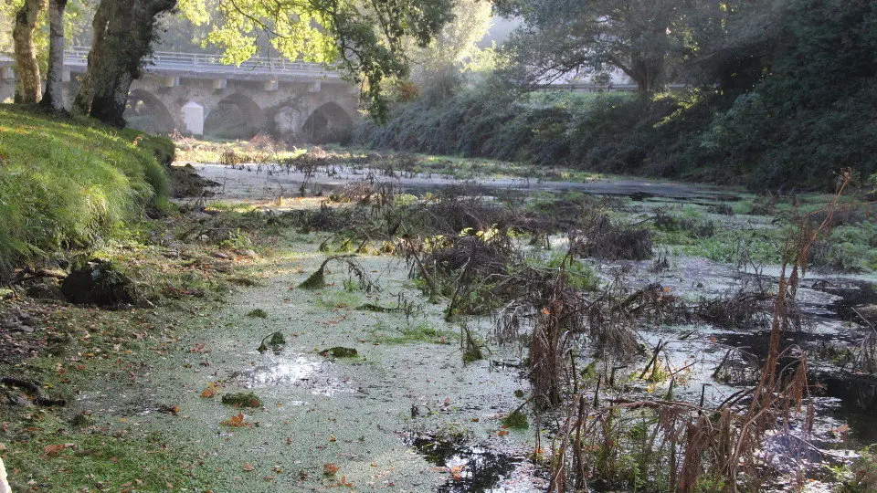 Escasez de agua en el río Parga. AEP