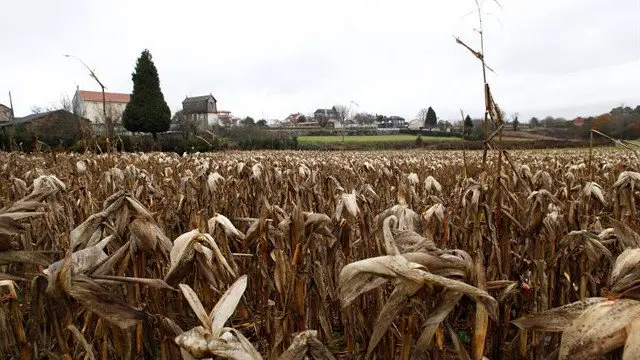 Vista de las inmediaciones del lugar en el que ha sido localizado el cuerpo sin vida de un hombre en Carballo. CABALAR (EFE)