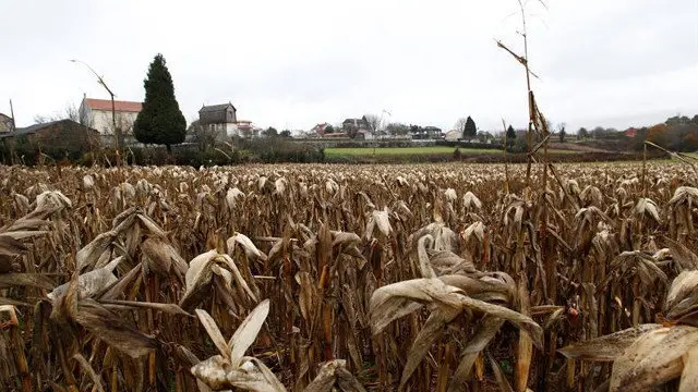 Vista de las inmediaciones del lugar en el que ha sido localizado el cuerpo sin vida de un hombre en Carballo. CABALAR (EFE)