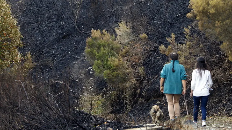 Incendio en Cervantes. XESÚS PONTE