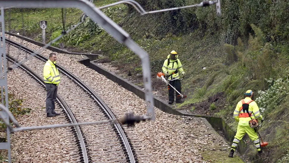 Lugar donde fue encontrada la maleta, a las afueras de Oviedo. EP