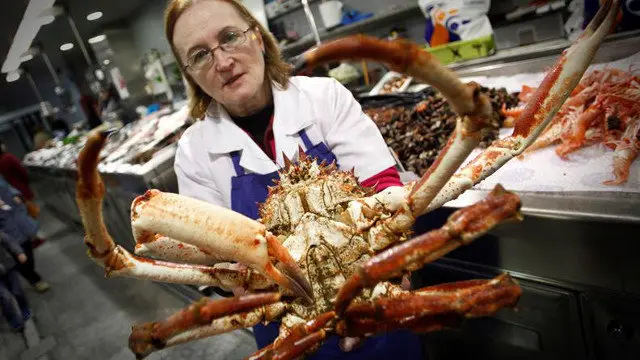 Una placera de A Coruña con un santiaguiño. CABALAR