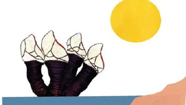 Ilustración para el blog de María Piñeiro