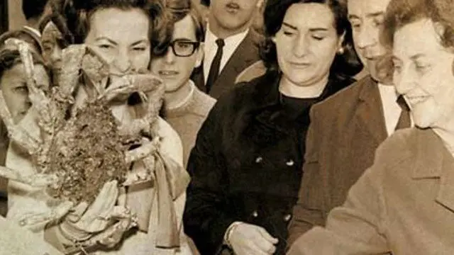 Mercado del marisco en la Praza do Campo de Lugo en 1968. ARQUIVO PROVINCIAL