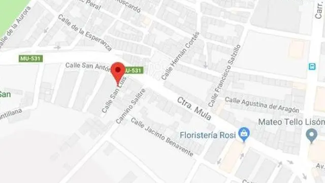 El homicidio se produjo en una pelea en la calle San Luis del municipio de Alguazas, en Murcia. GOOGLE MAPS