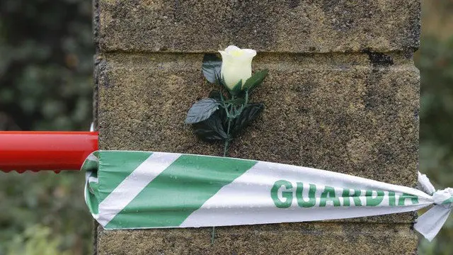 Una rosa blanca en Asados. LAVANDEIRA JR