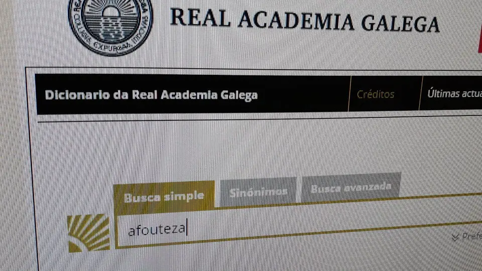 Unha procura no dicionario da RAG.EP