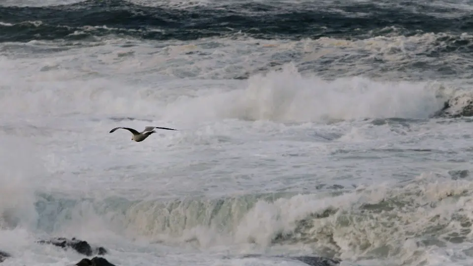 Fuerte oleaje en A Mariña. JOSÉ MARÍA ÁLVEZ