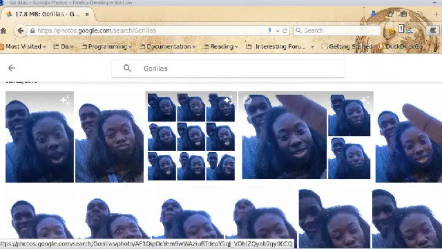 Fotos etiquetadas como 'gorila' por Google