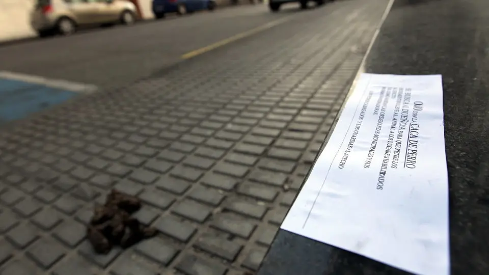 Excrementos de perro en una acera. SEBAS SENANDE