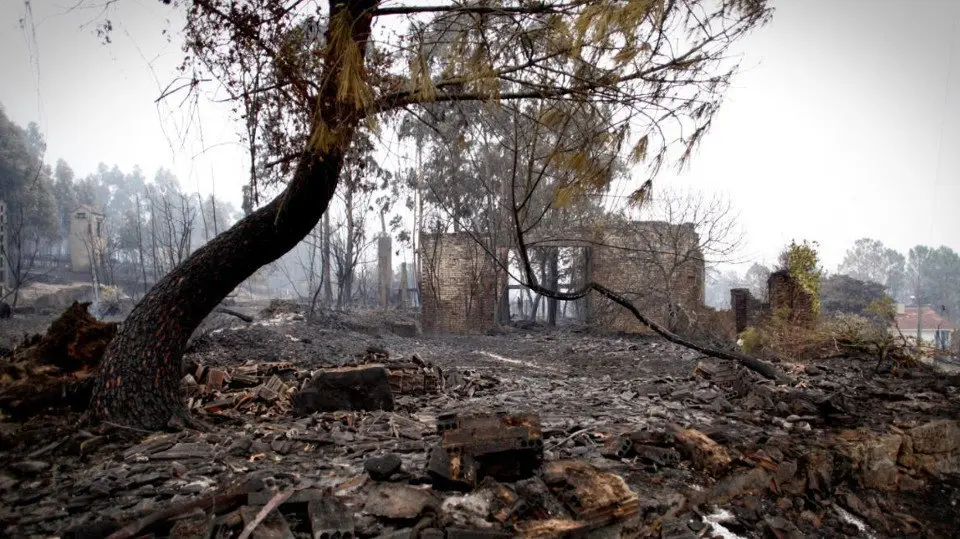 Devastación en un monte del concello pontevedrés de As Neves. ADP