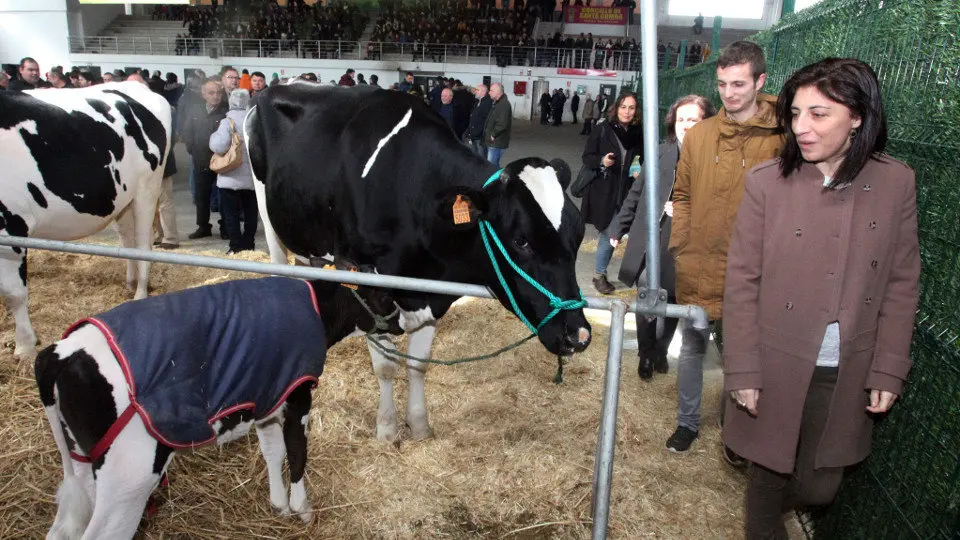 Ángeles Vázquez, en Santa Comba. PEPE FERRÍN (AGN)