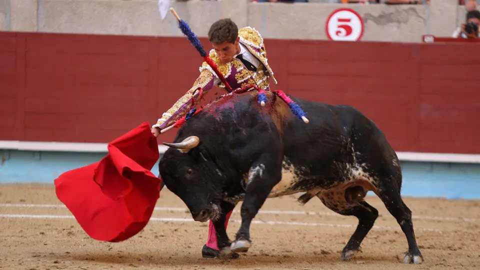 Ginés Marín, en una corrida celebrada en la Plaza de Toros de Pontevedra. RAFA FARIÑA