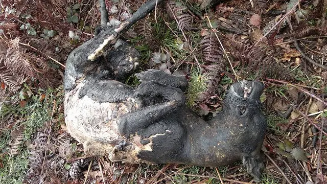 Fotografía del perro carbonizado encontrado en Mos. FACEBOOK