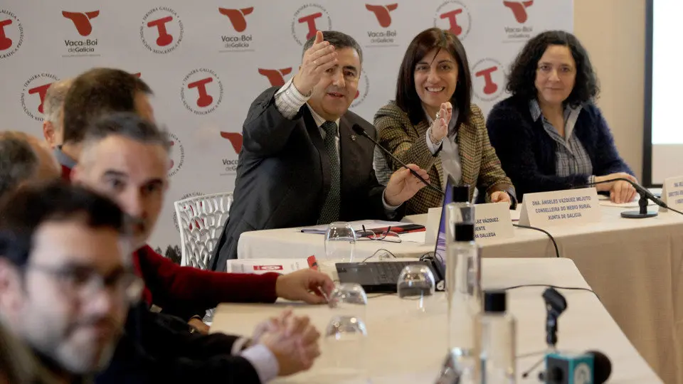 La conselleira de Medio Rural, Ángeles Vázquez, en la presentación de los resultados de Ternera Gallega. PEPE FERRÍN (AGN)