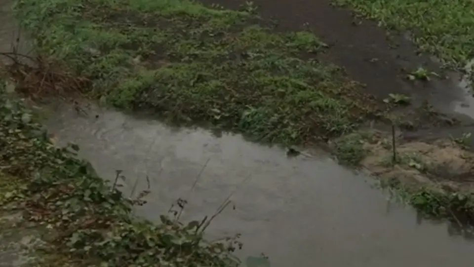 Regato Maquiáns, en Ribadavia. TVG