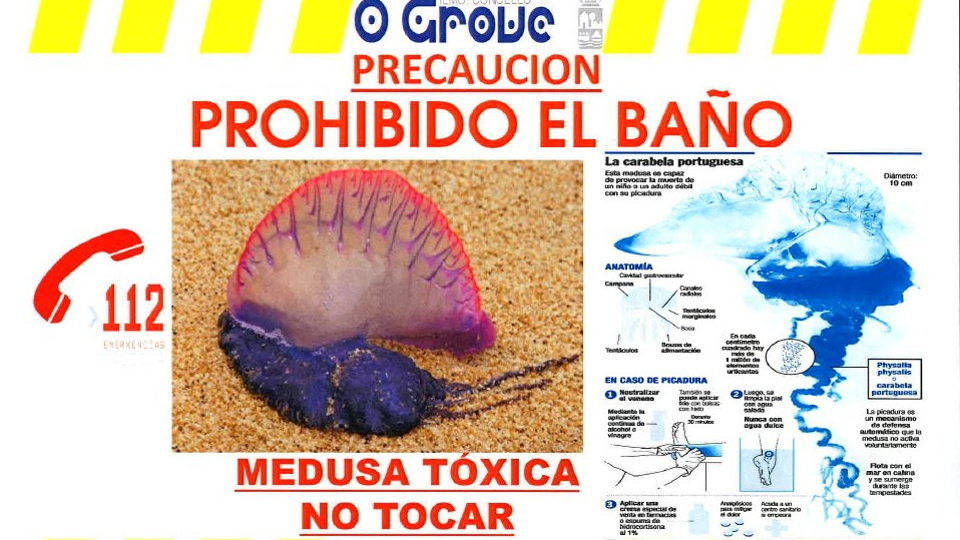 Emerxencias O Grove pide precaución y alerta de los peligros de la carabela portuguesa. DP