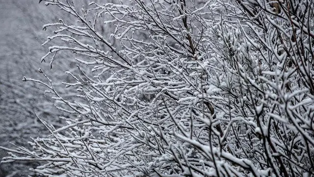 La Xunta activó la alerta por nieve en la montaña de Lugo y Ourense. BRAIS LORENZO (EFE)