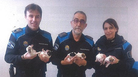 Tres axentes cos cachorros. POLICÍA LOCAL DE REDONDELA