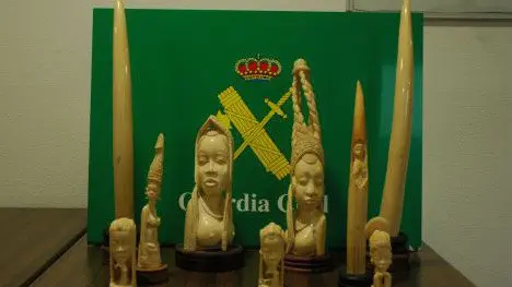 Figuras de marfil incautadas en A Coru&ntilde;a. GC