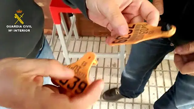 Crotales del ganado. GUARDIA CIVIL