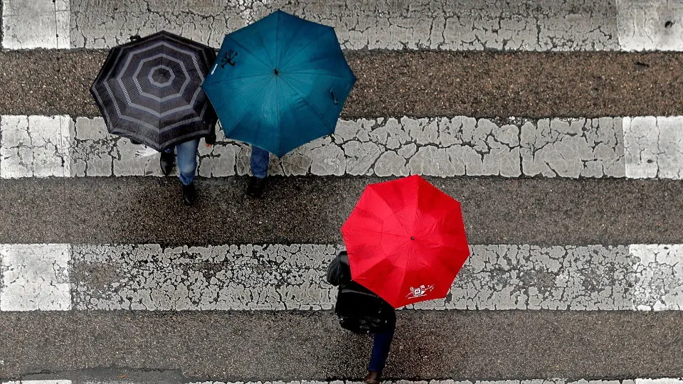 Personas con paraguas cruzan un paso de cebra. AEP