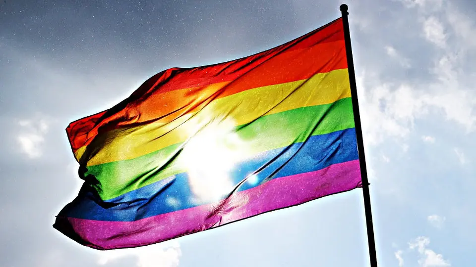 Una bandera de la diversidad. EEP