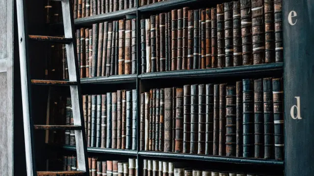 Estanter&iacute;a con libros. EP