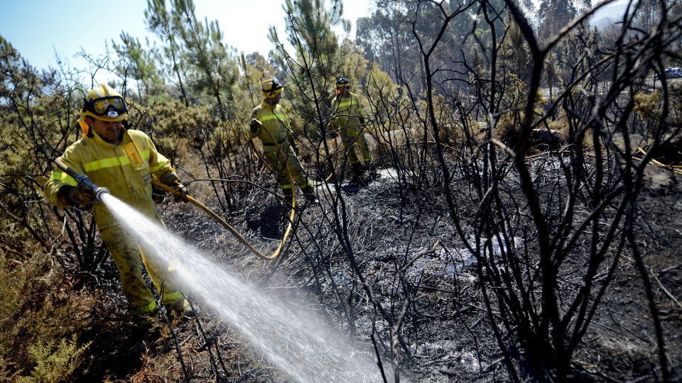 Brigadistas sofocando incendio forestal el pasado verano en Vilamarín. BRAIS LORENZO (EFE)