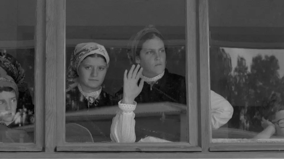 Primeira edición do Festival do Mundo Celta. Ortigueira, 1978. ANNA TURBAU (CONSELLO DA CULTURA GALEGA)