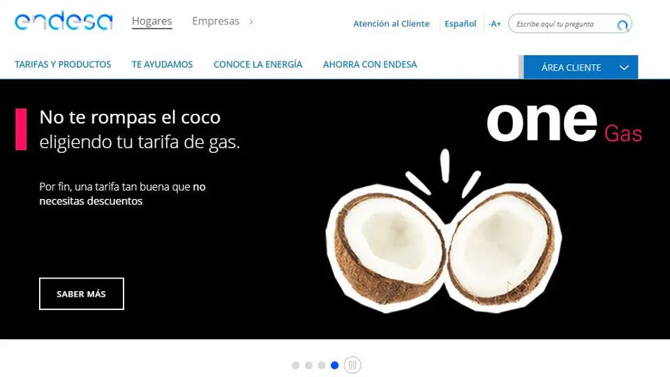 Captura de la web de endesa. DP
