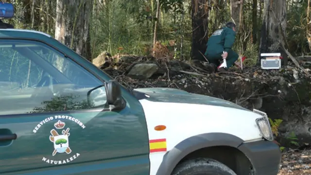 Un agente del Seprona. AEP