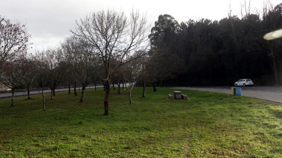 El conductor retomó la marcha en dirección contraria tras acceder al área de descanso de Vilaboa. DAVID FREIRE (ADP)