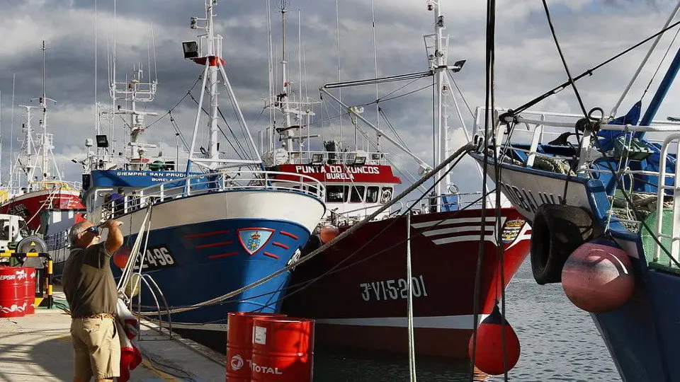 Palangreros de superficie, amarrados en Burela. EP