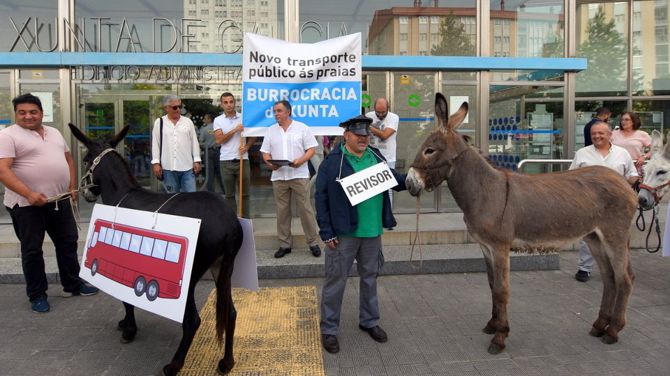García Seoane lleva tres burros a la Xunta para reclamar un bus hasta Santa Cristina. TWITTER