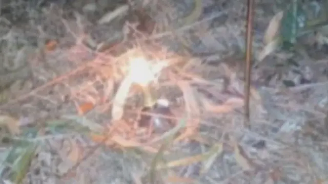 Artefacto incendiario localizado en Santa Comba. TVG